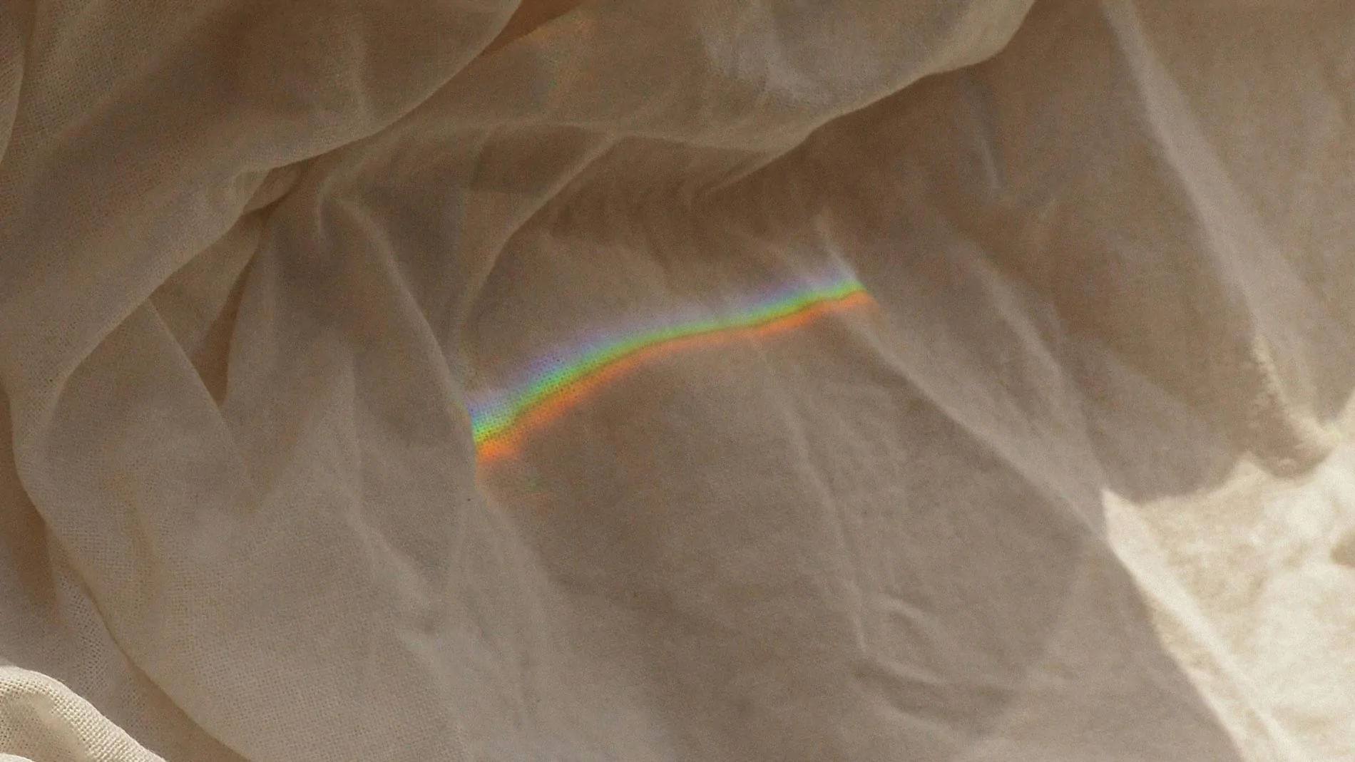 WHO WE ARE - Palacio Bellas Artes - Cinematic Immersion