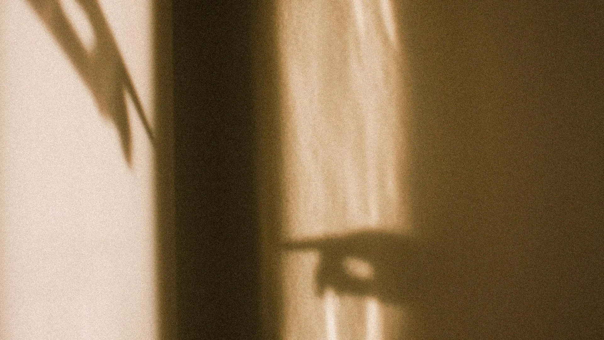 WHO WE ARE - Palacio Bellas Artes - Refined Individualism