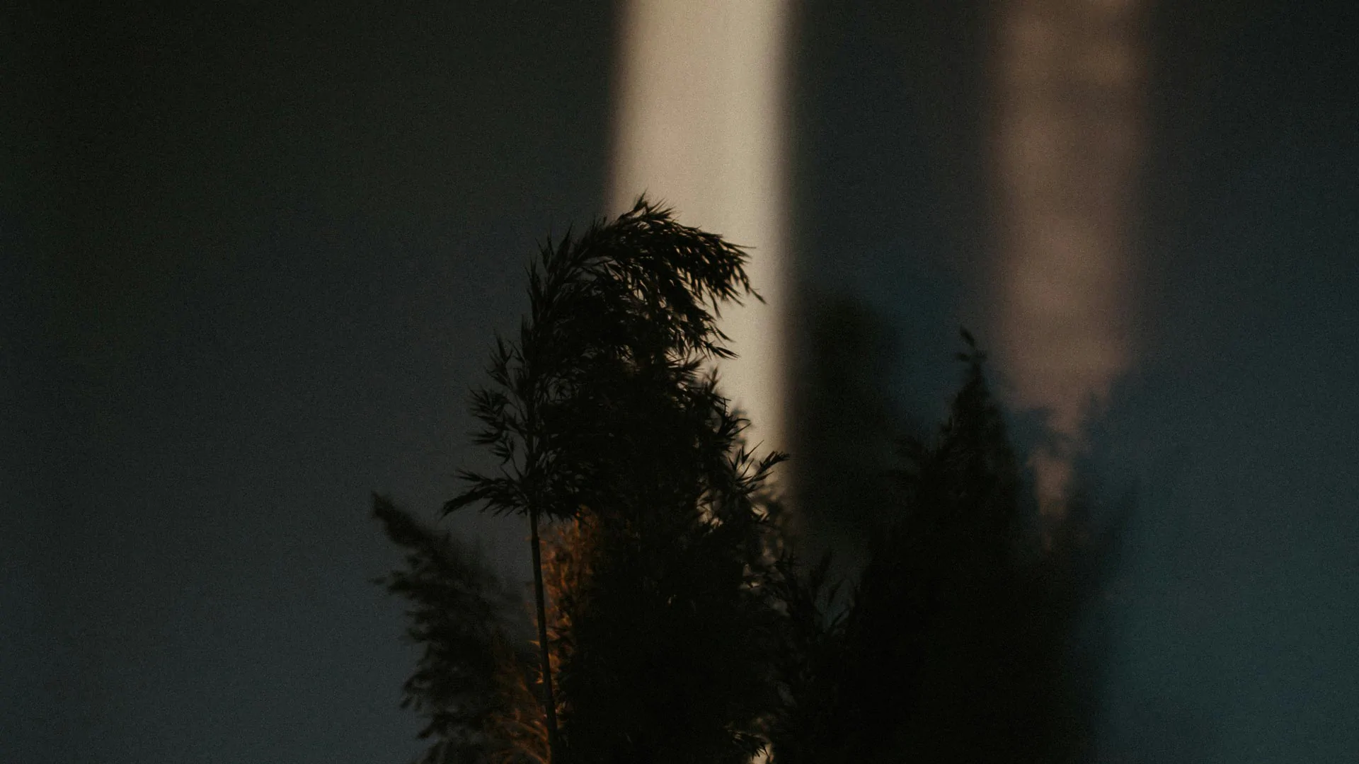 WHO WE ARE - Palacio Bellas Artes - Contemporary Heritage